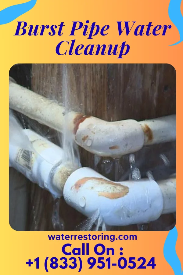 Burst Pipe Water Cleanup in Mingus, TX