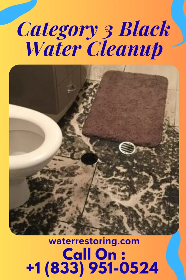 Category 3 Black Water Cleanup in Mingus, TX