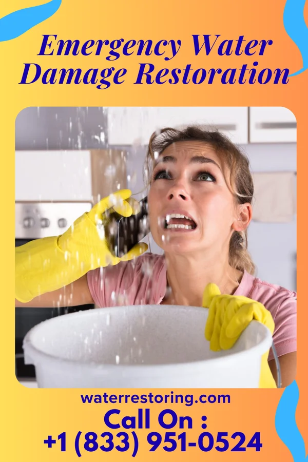 Emergency Water Damage Restoration in Mingus, TX