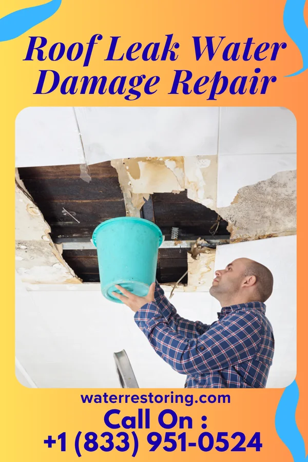 Roof Leak Water Damage Repair in Mingus, TX
