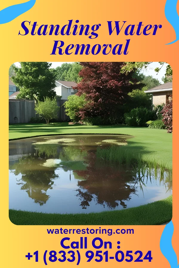Standing Water Removal in Mingus, TX